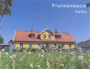 Pruimenboom - Bouwe Brouwer