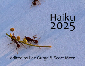 Haiku anthologu 2025