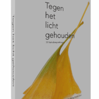 Tegen het licht gehouden <br>50 haikubesprekingen