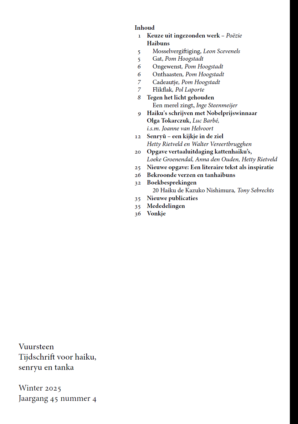 Vuursteen Winter 2025 (e-boek) - Afbeelding 2