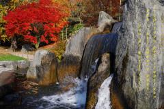 Japanse tuin Hasselt
