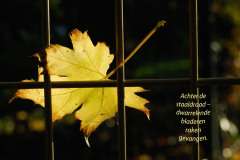 achter het staaldraad