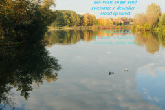 een woerd